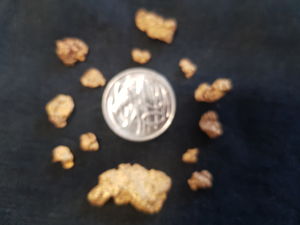 Gold Prospecting Maryborough Victoria