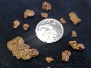 Gold Prospecting Maryborough Victoria